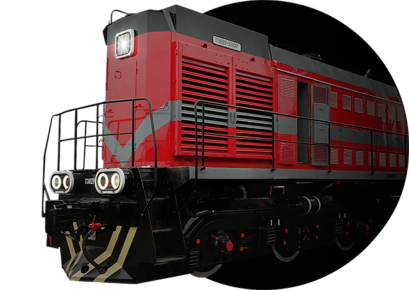 System MSKD